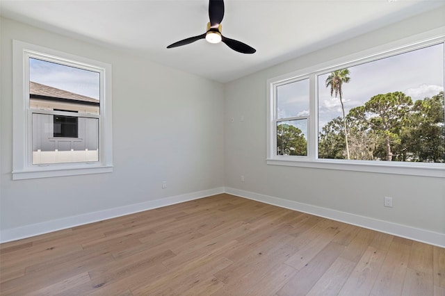 1735 Massachusetts Ave NE, Saint Petersburg, FL 33703 - photo 33