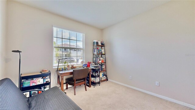 carpeted office space featuring a healthy amount of sunlight