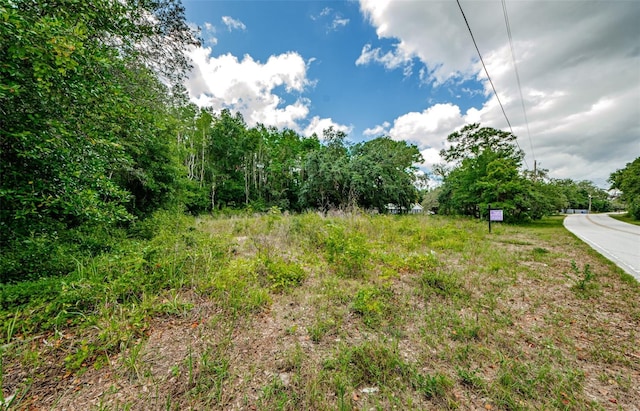 10086 Hilltop Dr, New Port Richey, FL 34654 - photo 13