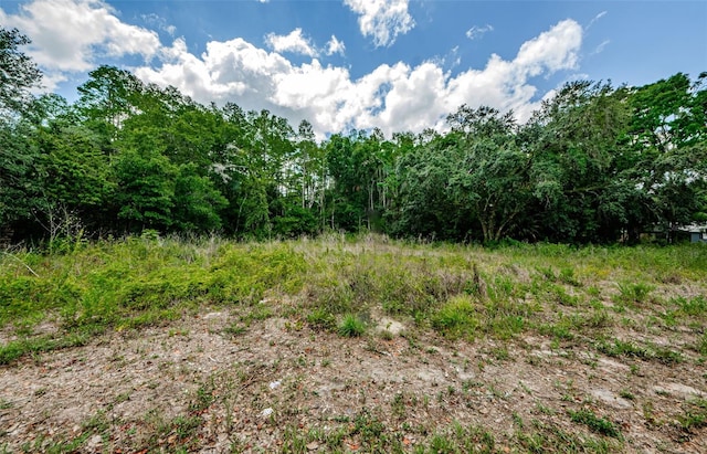 10086 Hilltop Dr, New Port Richey, FL 34654 - photo 14