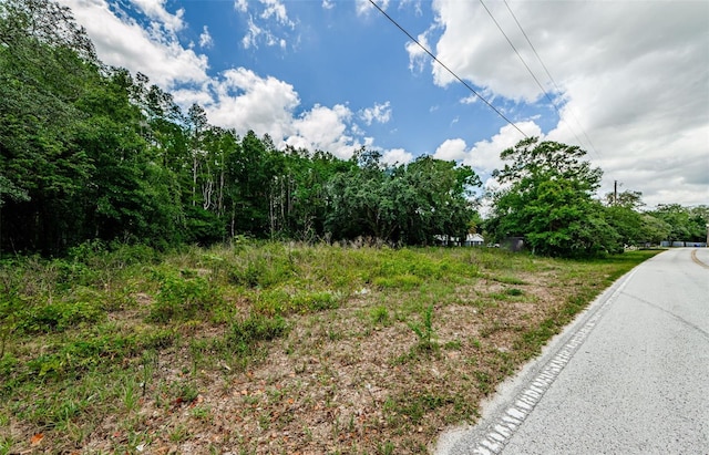 10086 Hilltop Dr, New Port Richey, FL 34654 - photo 16