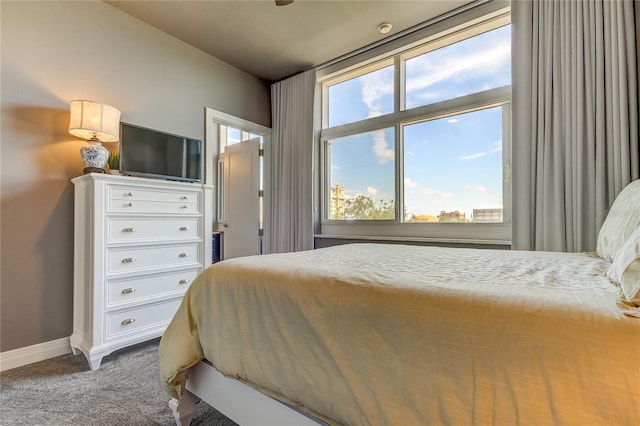 bedroom with multiple windows and carpet floors