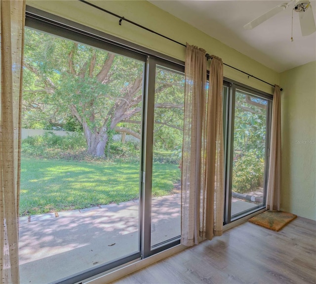 entryway with plenty of natural light, ceiling fan, and hardwood / wood-style floors