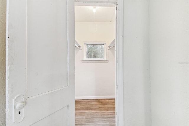 bathroom with hardwood / wood-style flooring