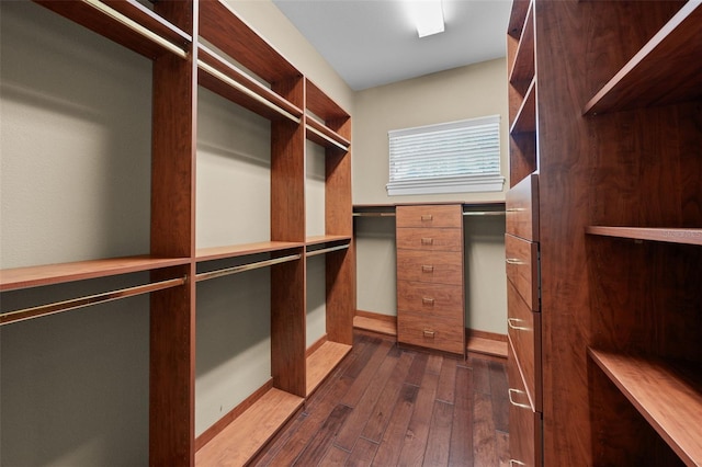 spacious closet with dark hardwood / wood-style flooring