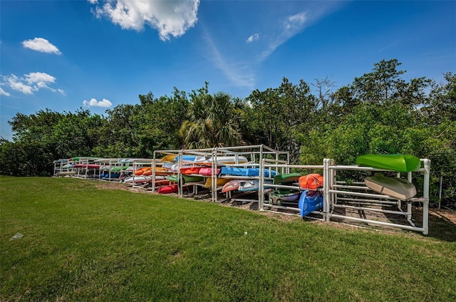 dock area with a lawn