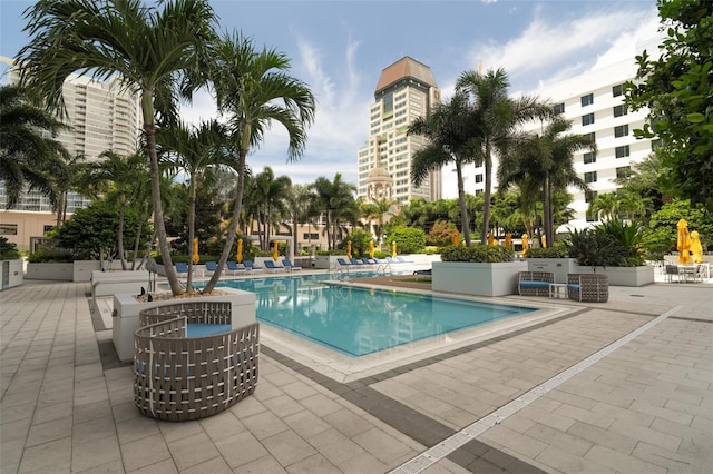 view of pool featuring a patio area