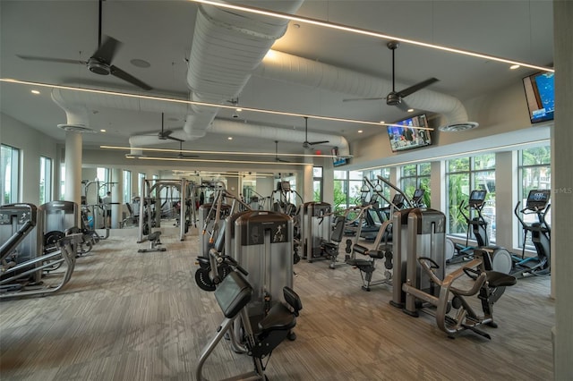 gym with ceiling fan and carpet