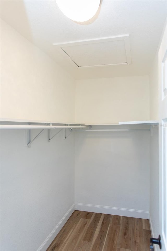 walk in closet featuring hardwood / wood-style floors