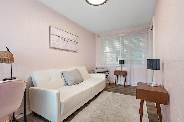 living room with hardwood / wood-style flooring