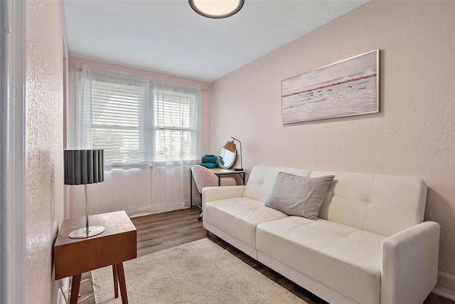 living room with hardwood / wood-style floors