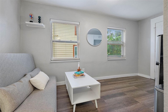 living area with dark hardwood / wood-style flooring