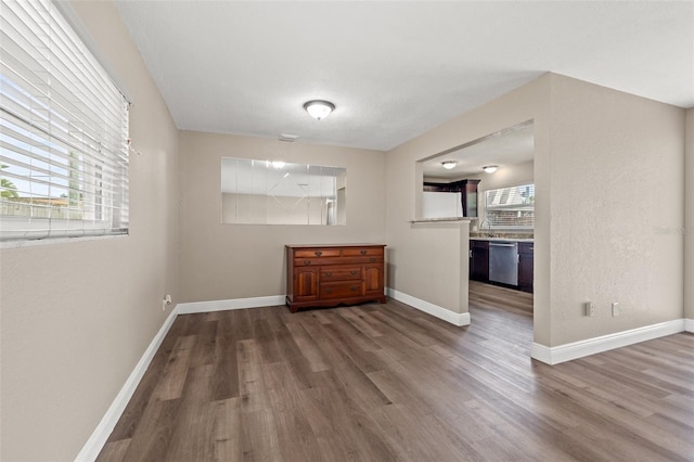 interior space featuring hardwood / wood-style flooring and sink