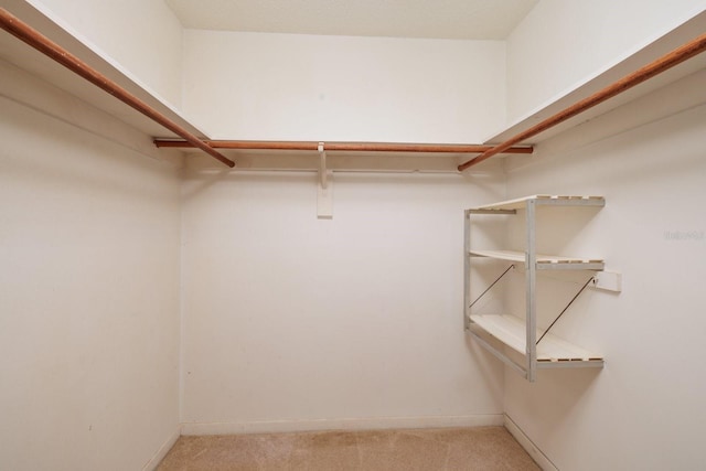 walk in closet with light colored carpet