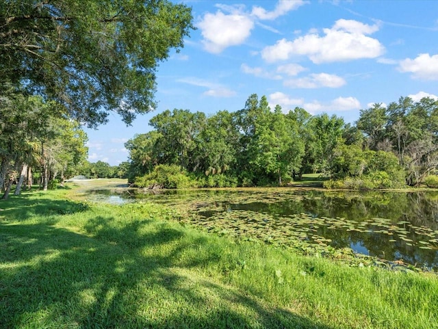 view of landscape with a water view