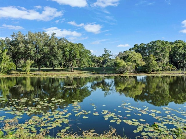 view of water feature