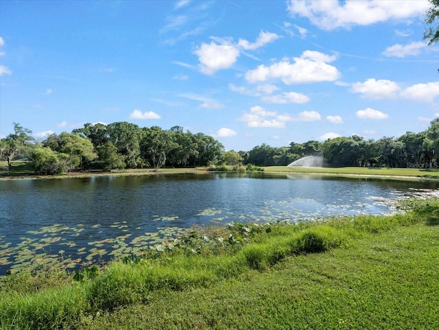 property view of water