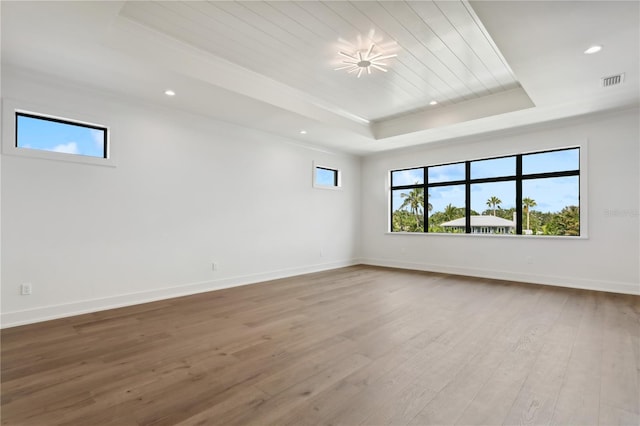 empty room featuring a raised ceiling and hardwood / wood-style flooring