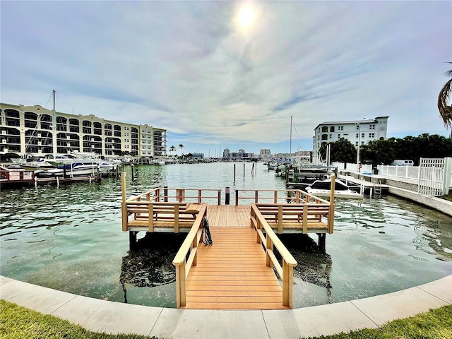 dock area with a water view