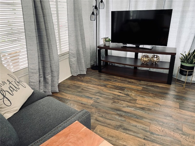 living room featuring dark wood-type flooring