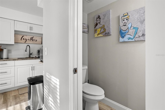 bathroom featuring vanity, toilet, and wood-type flooring