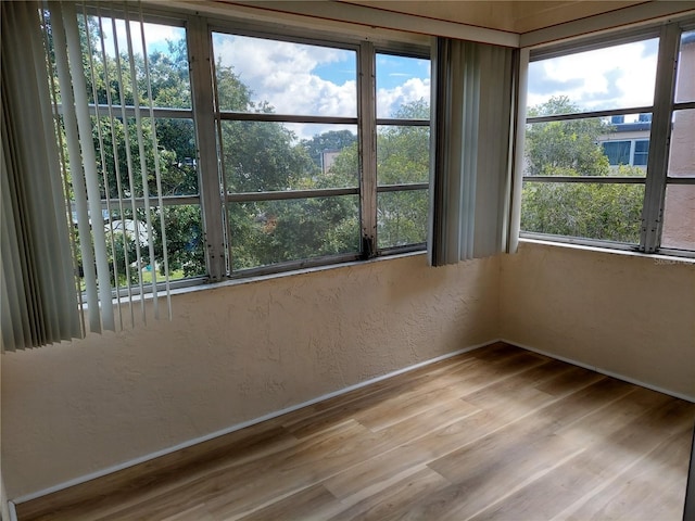 unfurnished room featuring light hardwood / wood-style flooring and a healthy amount of sunlight