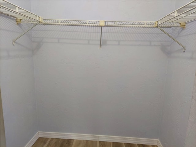 spacious closet featuring wood-type flooring