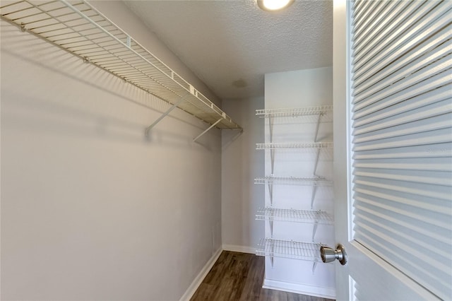 spacious closet with dark wood-type flooring