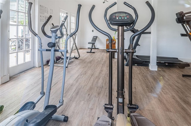 workout room featuring plenty of natural light and light wood-type flooring