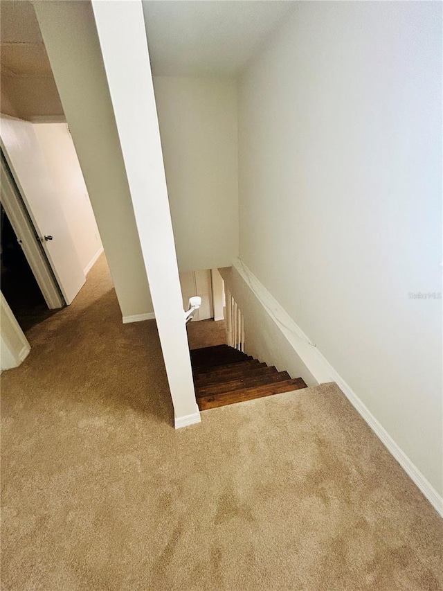 2811 Valencia Way S, Saint Petersburg, FL 33705 - photo 29