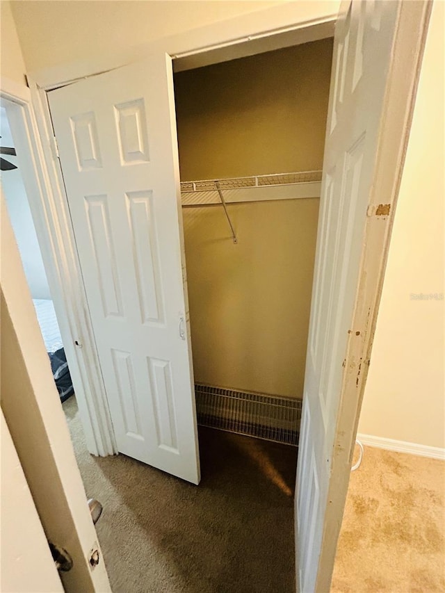 view of closet