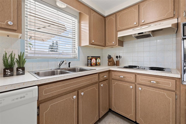 kitchen with cooktop, sink, dishwashing machine, backsplash, and exhaust hood