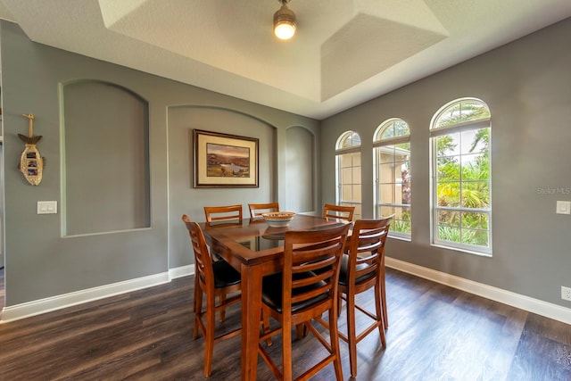 dining room with a tray ceiling and dark hardwood / wood-style floors