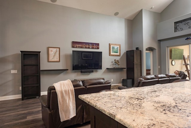 kitchen with dark hardwood / wood-style flooring and high vaulted ceiling