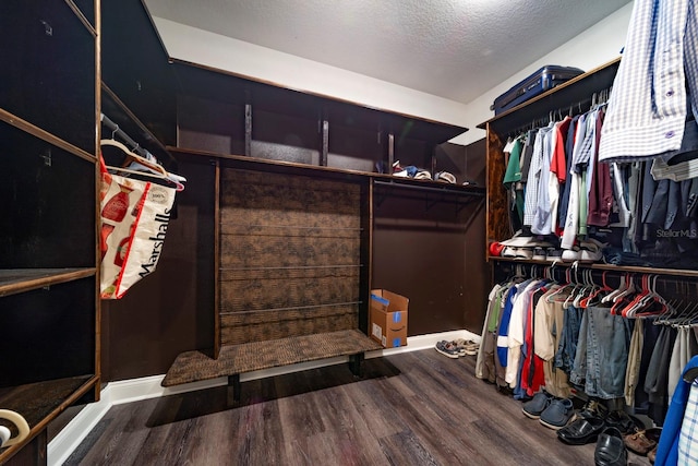 walk in closet featuring wood-type flooring