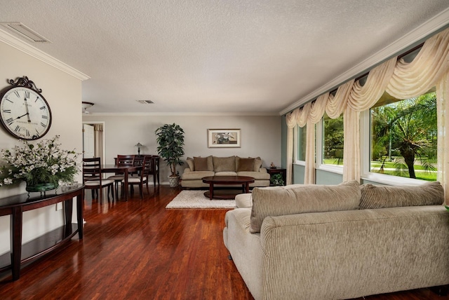 living room with crown molding, dark wood-type flooring, and a textured ceiling