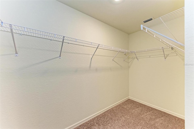 walk in closet with carpet floors