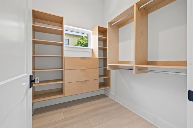 spacious closet featuring hardwood / wood-style floors