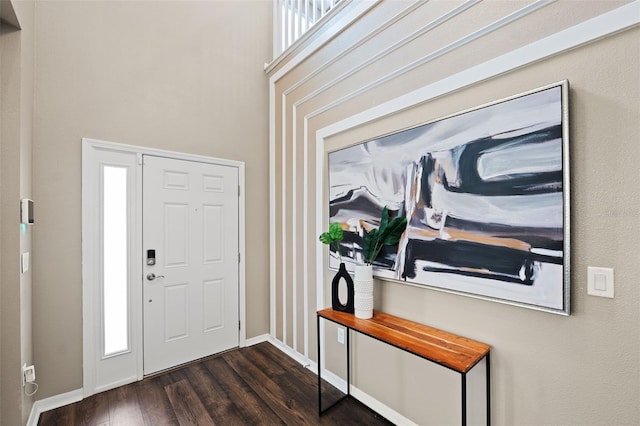 foyer entrance featuring a towering ceiling and dark hardwood / wood-style flooring