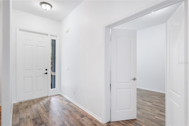 foyer entrance featuring dark wood-type flooring