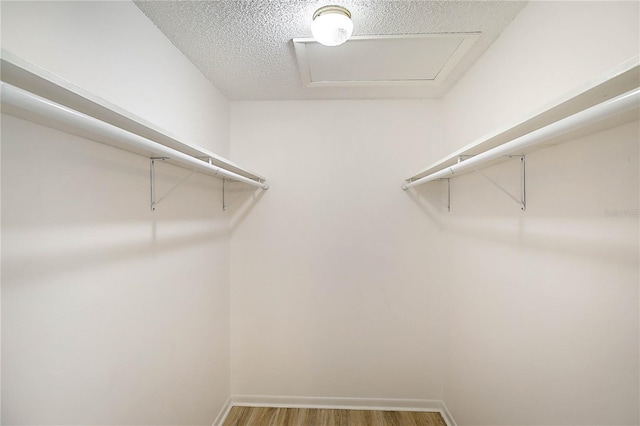 spacious closet featuring hardwood / wood-style flooring