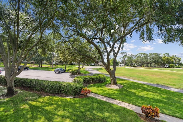 36750 US Highway 19 N Unit 13202, Palm Harbor, FL 34684 - photo 4