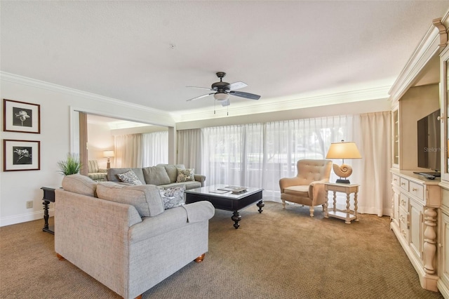 36750 US Highway 19 N Unit 13202, Palm Harbor, FL 34684 - photo 23