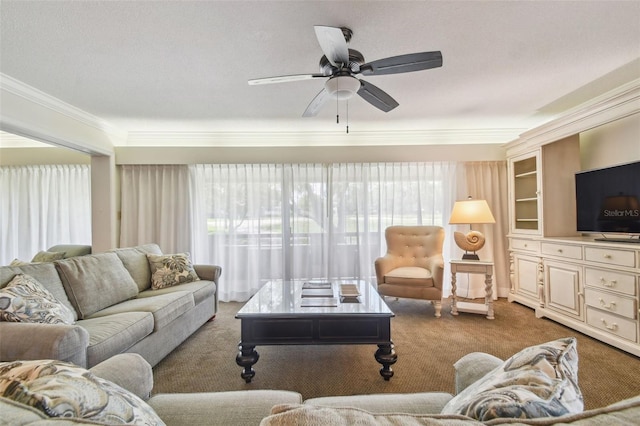 36750 US Highway 19 N Unit 13202, Palm Harbor, FL 34684 - photo 24