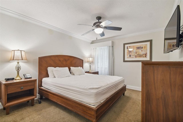 36750 US Highway 19 N Unit 13202, Palm Harbor, FL 34684 - photo 37