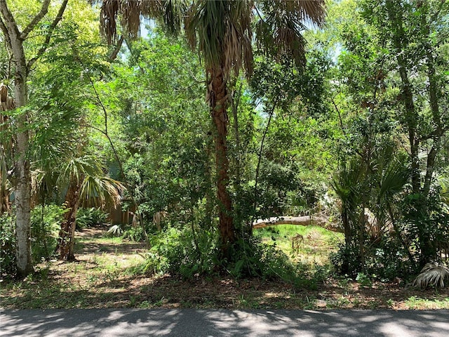 Center Ave, Tarpon Springs FL, 34689 land for sale