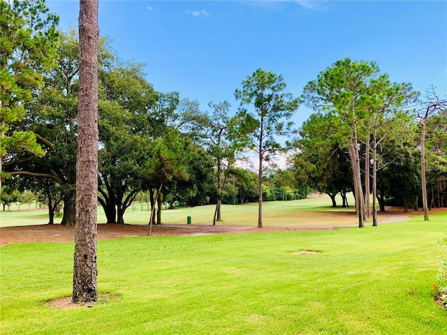 view of community with a lawn