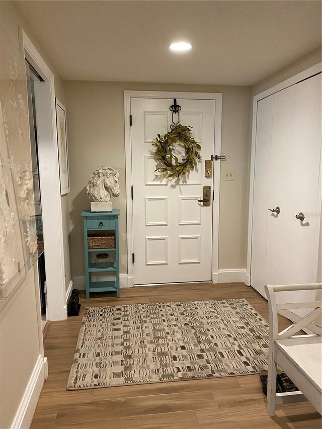 entryway featuring hardwood / wood-style flooring