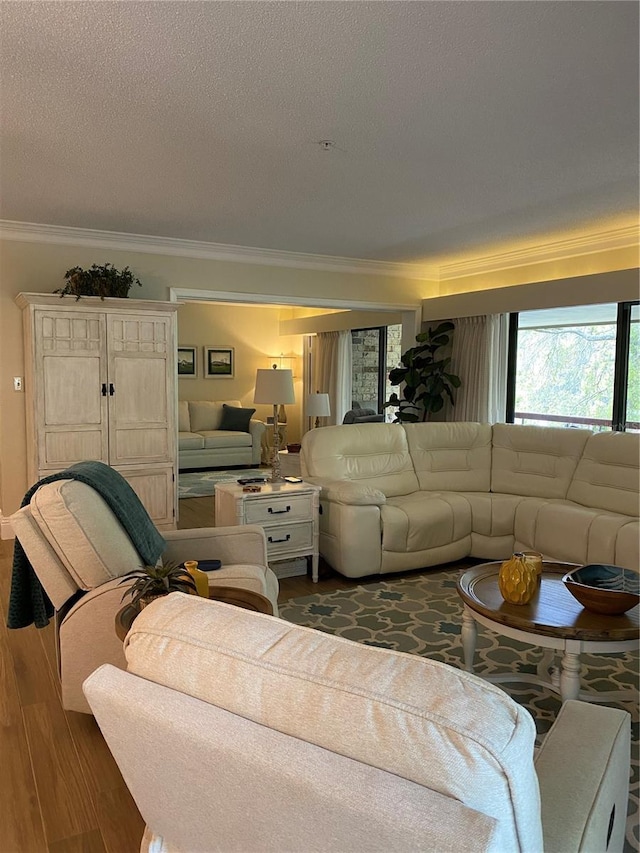 living room with dark hardwood / wood-style flooring, ornamental molding, and a textured ceiling