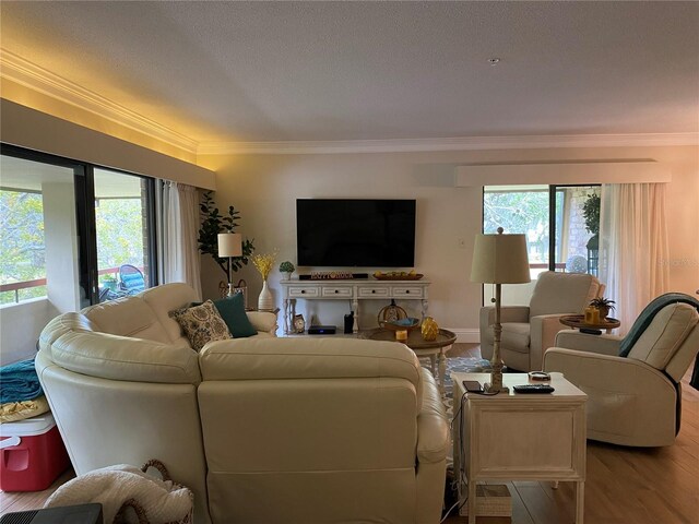 living room featuring crown molding, plenty of natural light, and light hardwood / wood-style floors